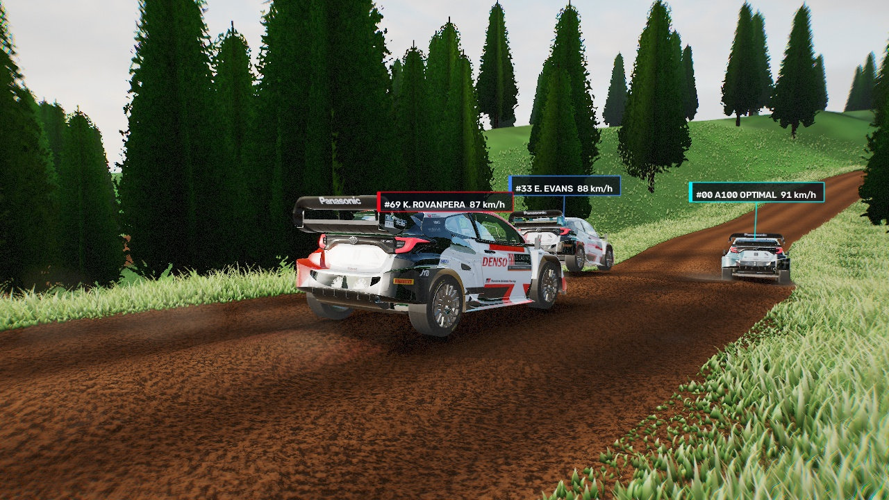 Low-orbit inspection of the 260,000-strand grass carpet and gravel verge