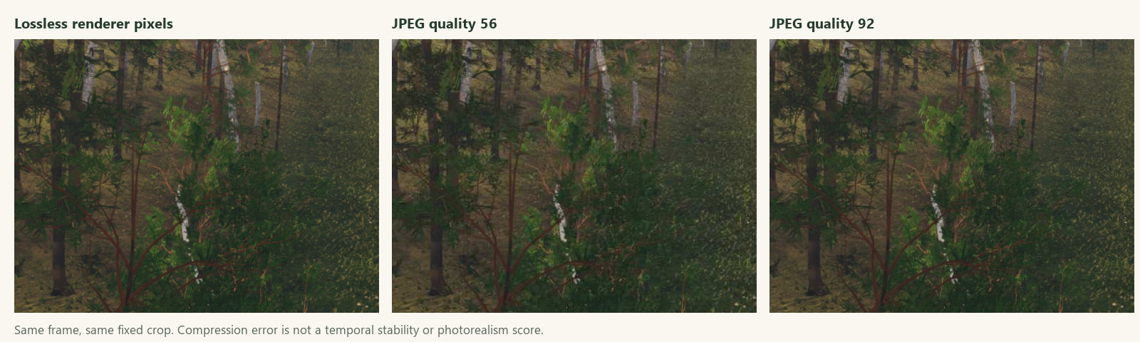 Same rendered crop: lossless pixels, JPEG quality 56 and JPEG quality 92